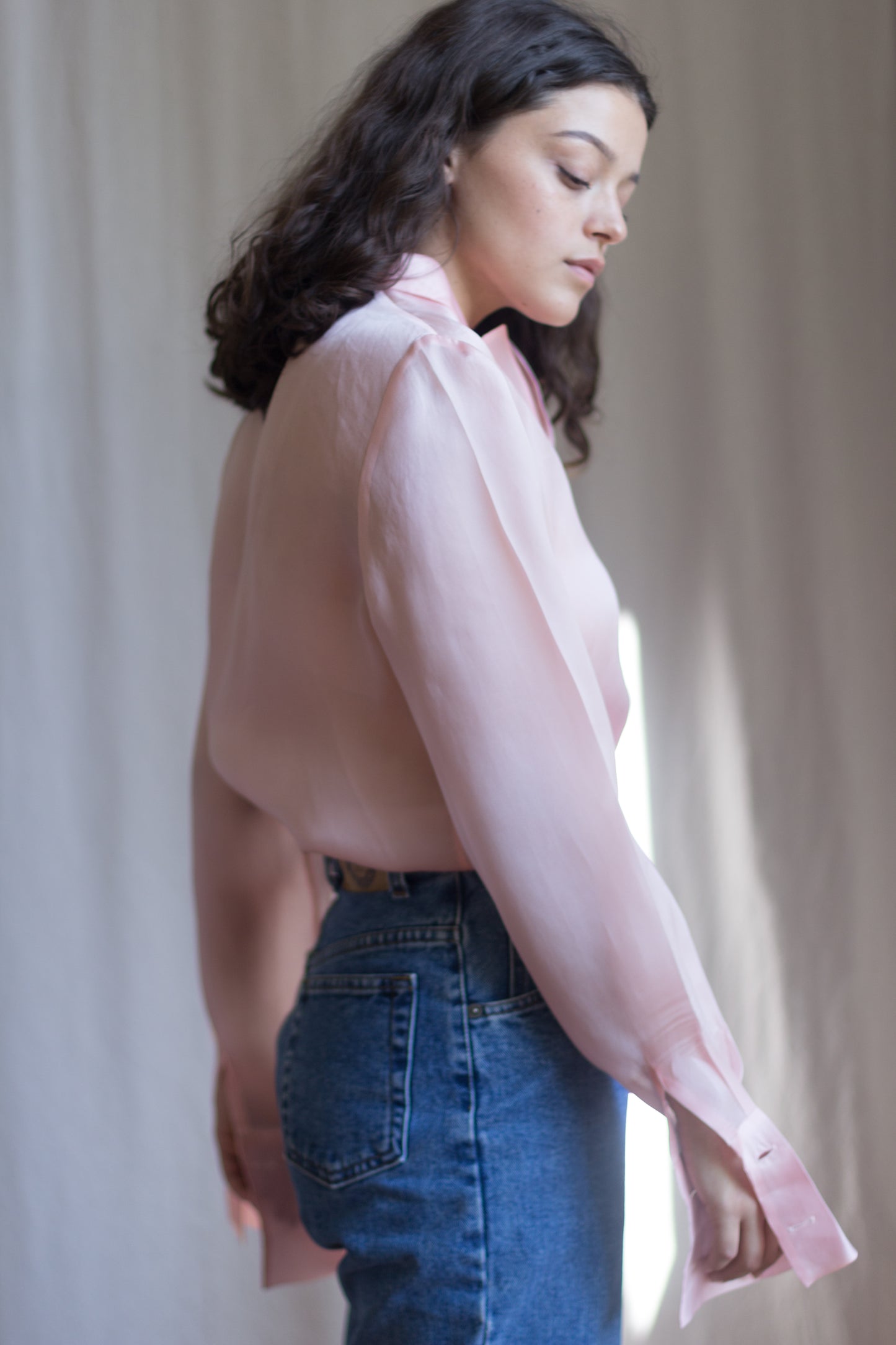 Vintage Silk Organza Blouse